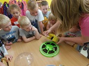 Rychlíme semínka a pozorujeme